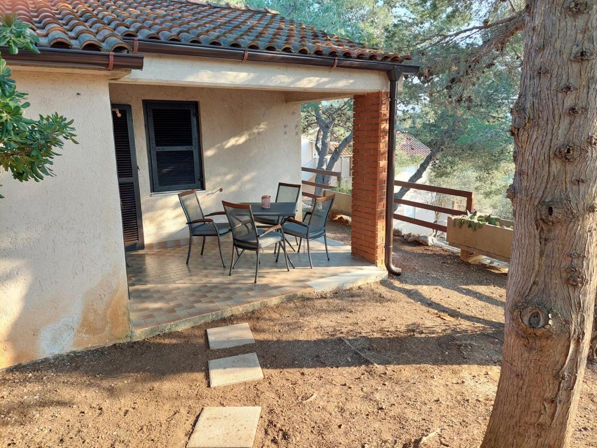 Gavza Joy Cres